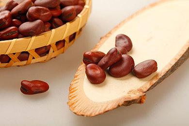 RPG新作《渴望求婚者》公布 11月3日发售